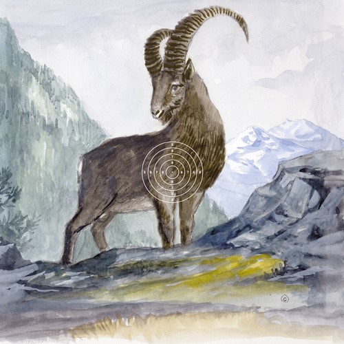 Bild von LG Wildscheibe Steinbock (1680-N), 250 Stück